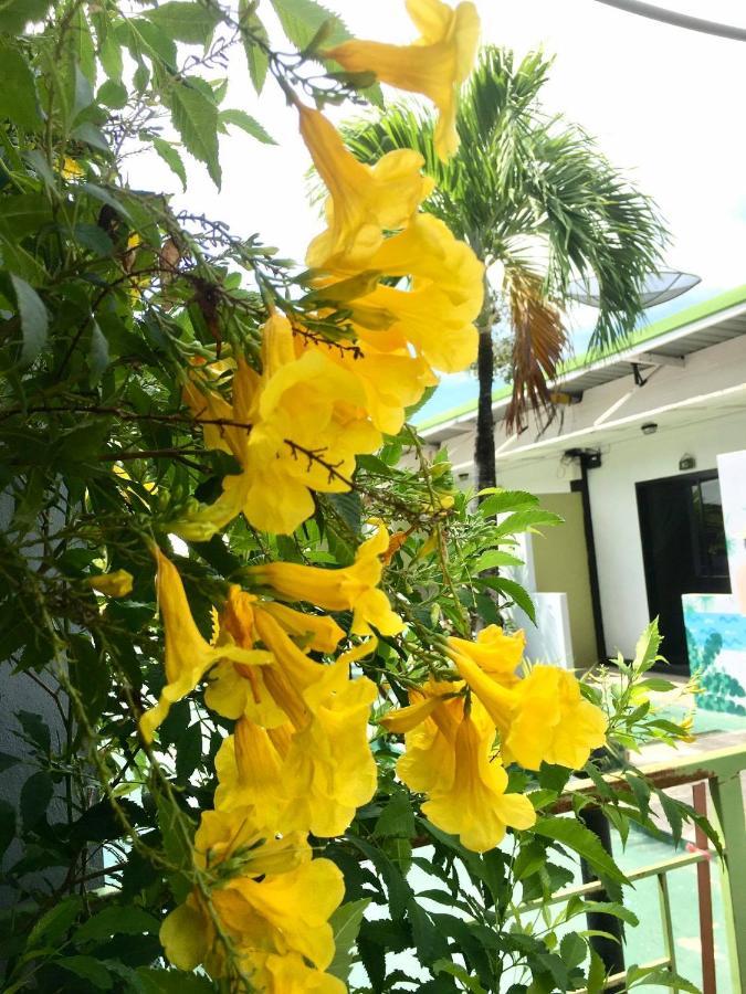 Rawai Whale Resort Exterior foto